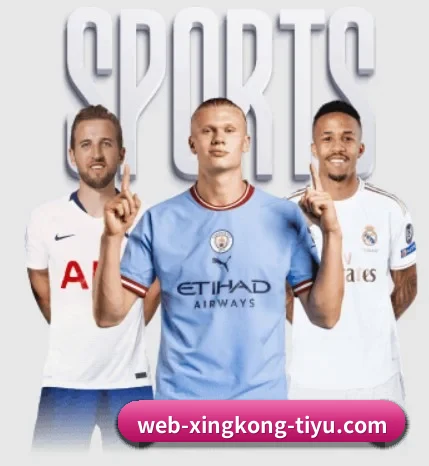 星空体育 APP | xingkong sports