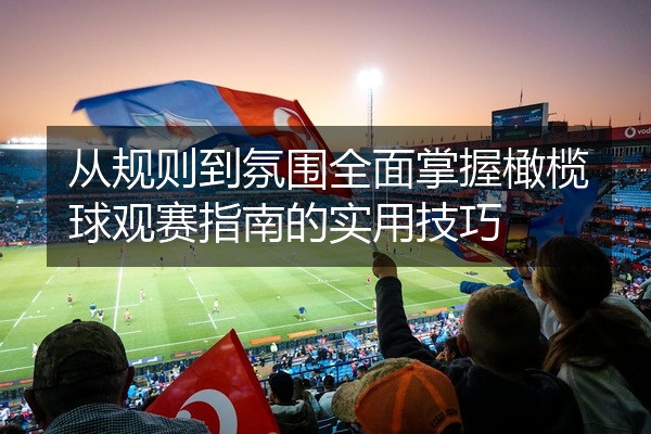 从规则到氛围全面掌握橄榄球观赛指南的实用技巧