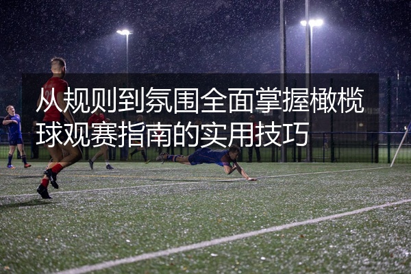 从规则到氛围全面掌握橄榄球观赛指南的实用技巧